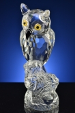 Kristallen uil groot