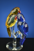 Vogels geel blauw