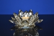 Lotus 14,5 cm Donker